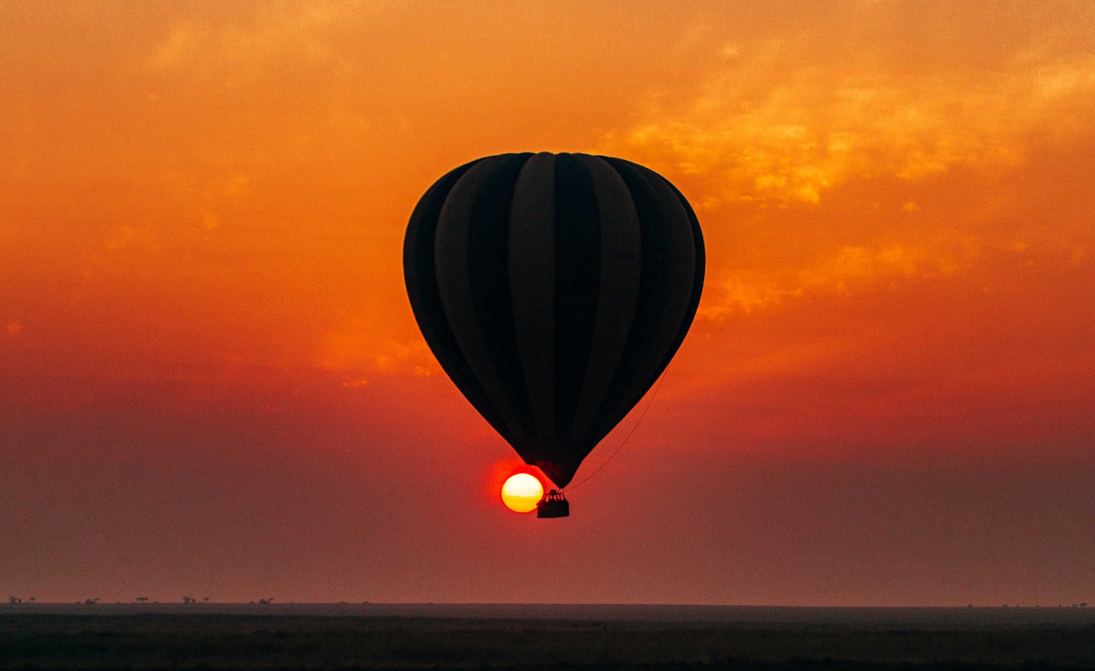 Your Family’s Once-in-a-Lifetime Safari