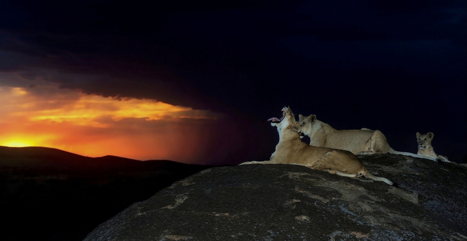 Luxury on Safari