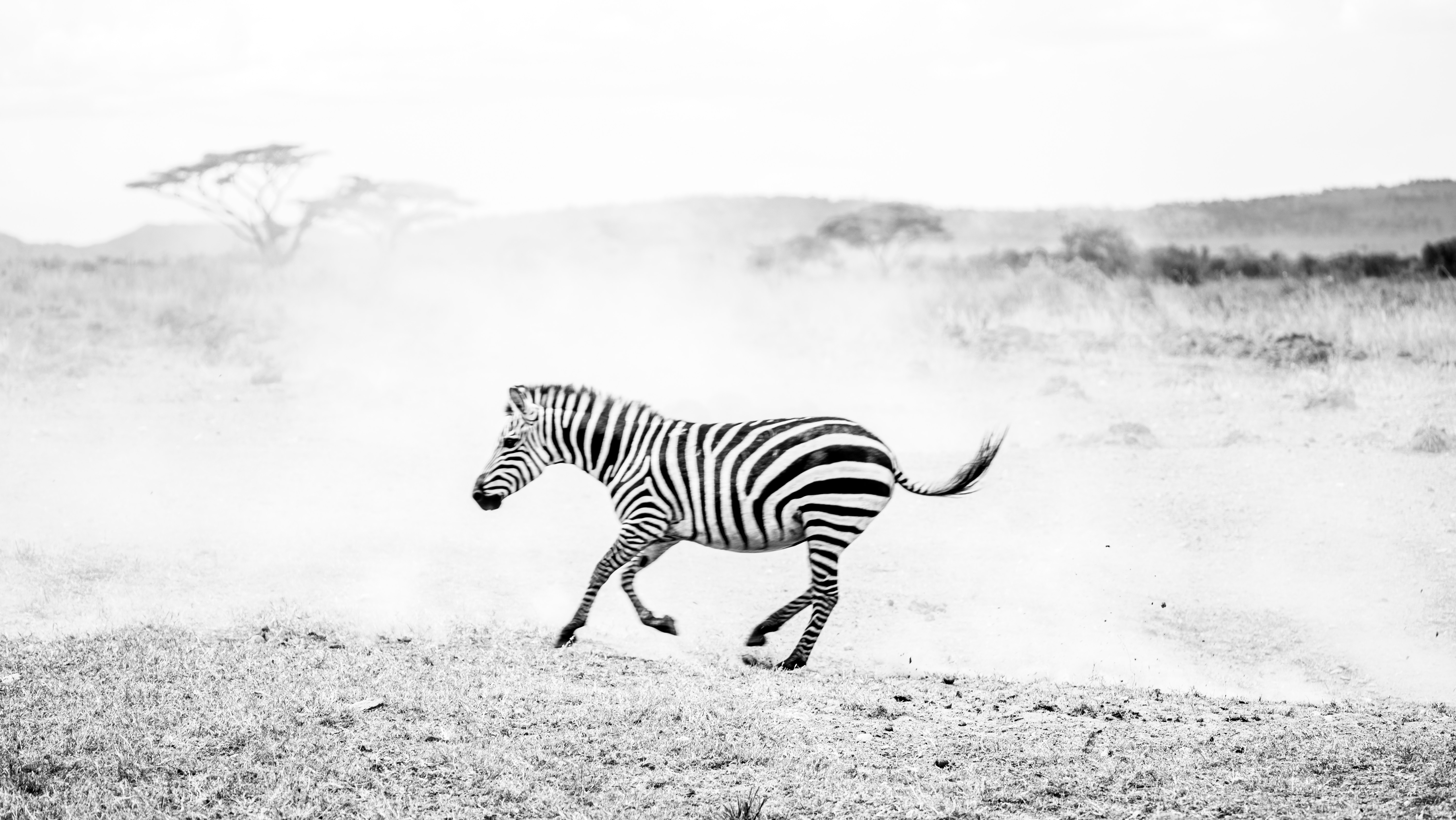 Luxury on Safari