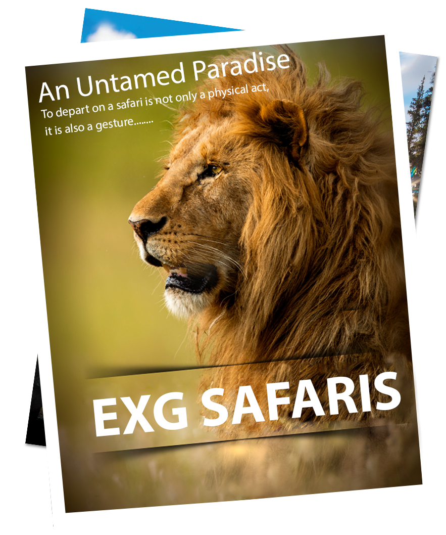 Download Brochure
